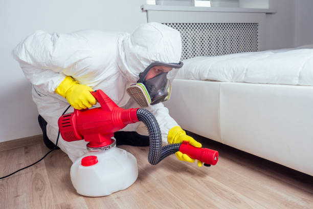 Best Residential Pest Control  in High Rolls, NM